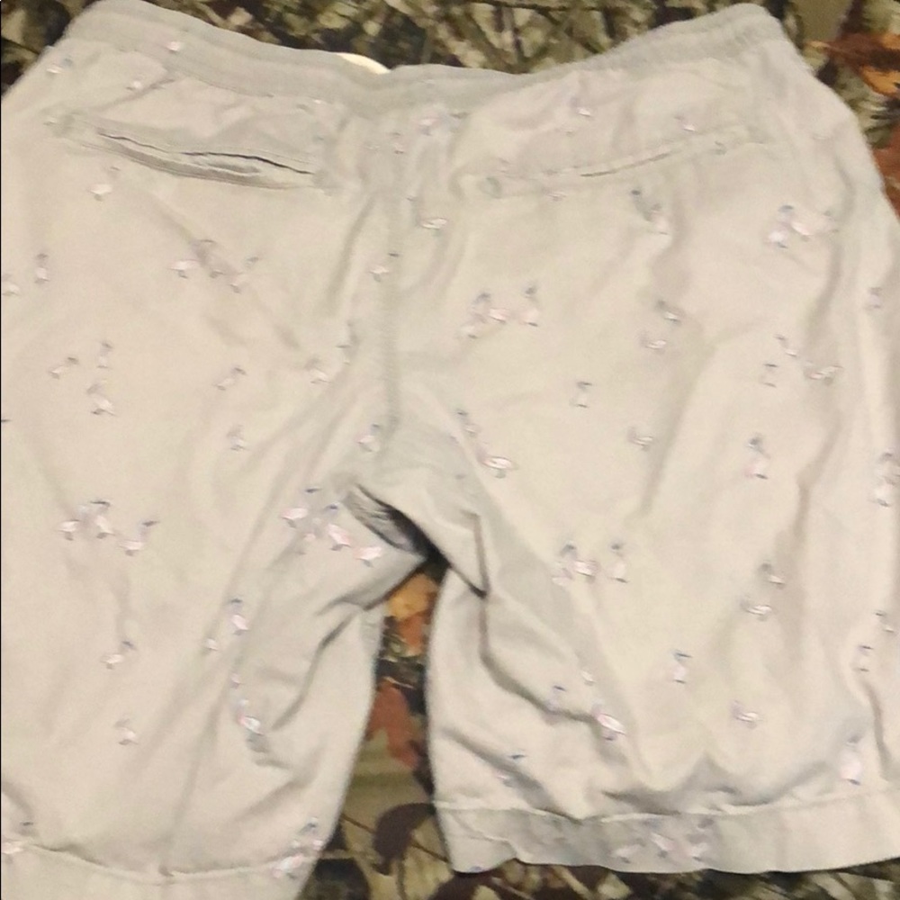 Shorts - Picture 2 of 2